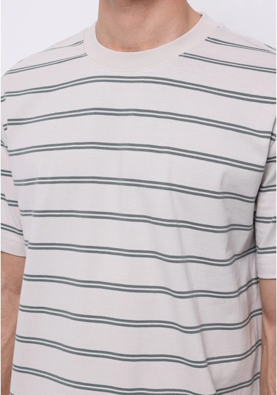 Colin's Colins Comfort Fit Yuvarlak Yaka Çizgili Erkek Yeşil Kısa Kol Tişört Cl1075391 Q1.v1 Lns Light Green Striped Colin's Colins Comfort Fit Yuvarlak Yaka Çizgili Erkek Yeşil Kısa Kol Tişört Cl1075391 Q1.v1 Lns Light Green Striped