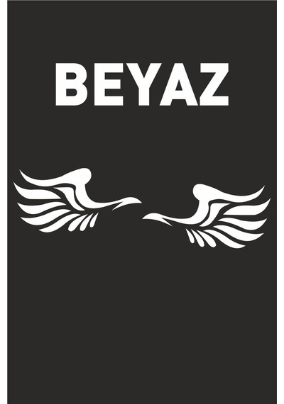 Kanat Yan Ayna Oto Sticker Siyah Sağ-sol 2 Adet 12 6 Cm