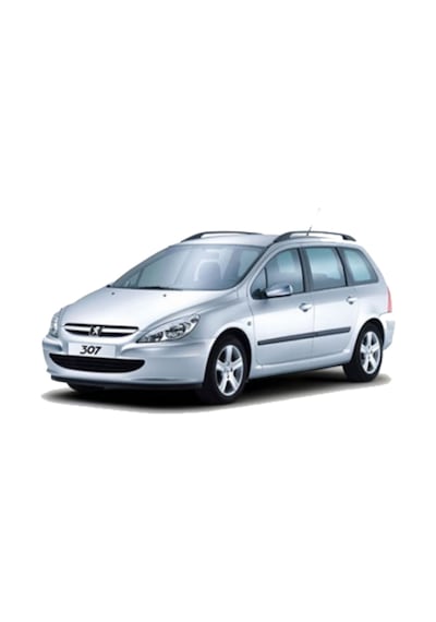 Peugeot 307 3D Paspas Havuzlu Siyah Stw 2001-2008 Arası Rizline N11.11978