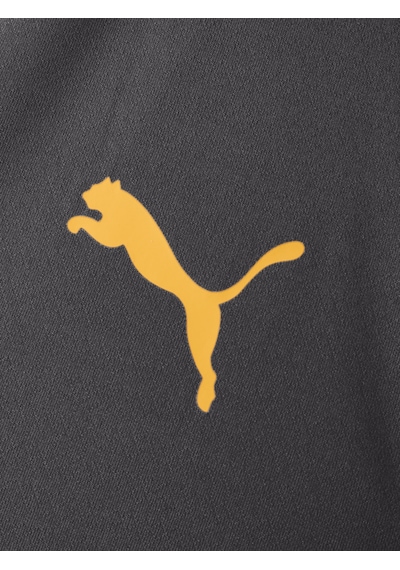 Gsstore Galatasaray Puma Çocuk Antrenman Ceket 78681005 Antrasit