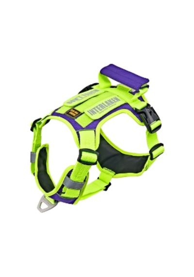Interlaken Harness Köpek Göğüs Tasması Neon Yeşil Mor M Neon Yeşil Mor