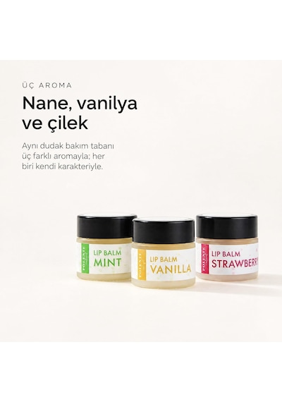 Tr Vanilyalı Lip Balm - Nemlendirici Dudak Kremi 10 Ml