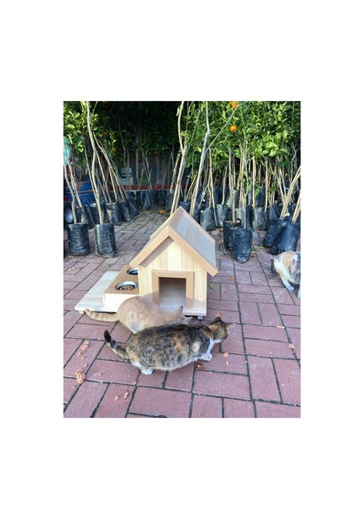 Özel Tasarım İç Ve Dış Mekan Yalıtımlı Kedi Yuvası Kedi Evi