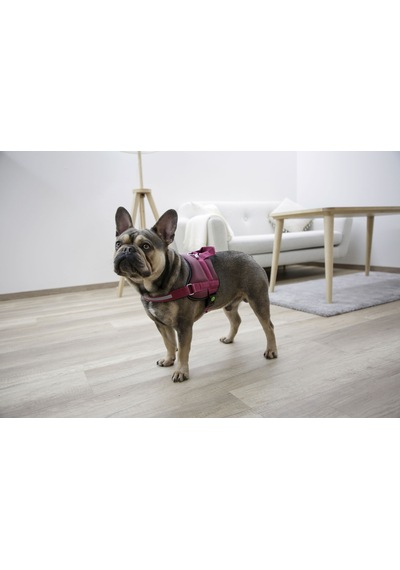 Kerbl Köpek Belden Tasma Maestro 2.0 Bordo 57 - 77 CM Bordo