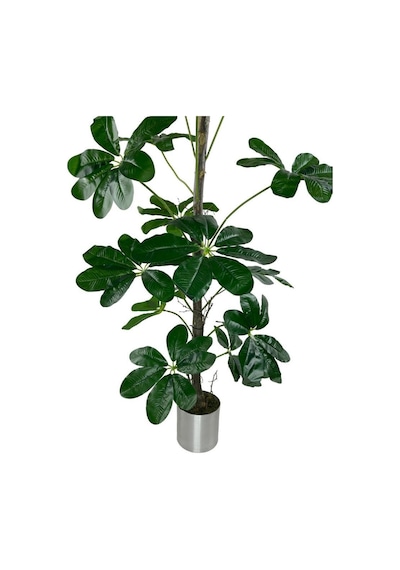 Yapay Ağaç Şeflera 18 Dallı Çalılı Gövde 120x60cm Gümüş Aleminyum Saksıda
