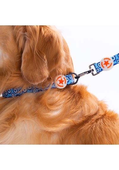 Charm Nazar Boncuğu Desenli Köpek Boyun Tasması Ayarlanabilir Köpek Tasması S Mavi