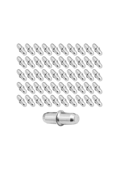 Raf Pimi Cam Ahşap Metal Raf Tutucu Çivisi Mobilya Dolap Pimi Metal (50 ADET)