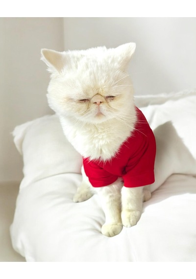 Kemique Uno Red Kedi Tişört