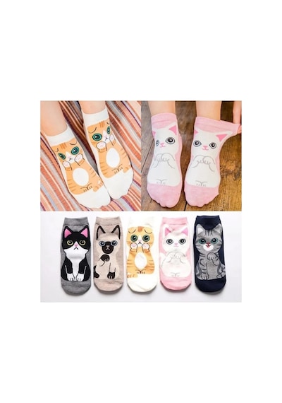 Worthy Socks 5'li Kedi Desenli Yüksek Kaliteli Renkli Patik Bilek Çorap
