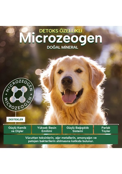 Nature's Protection Ekstra Somonlu Yetişkin Köpek Maması 18kg