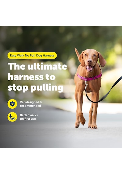 Easy Walk No-pull Köpek Göğüs Tasması, Çekmeyi Önlemeye Yardımcı, Kontrolü Ele Alın Ve Tasmayla Ahudududu/gri