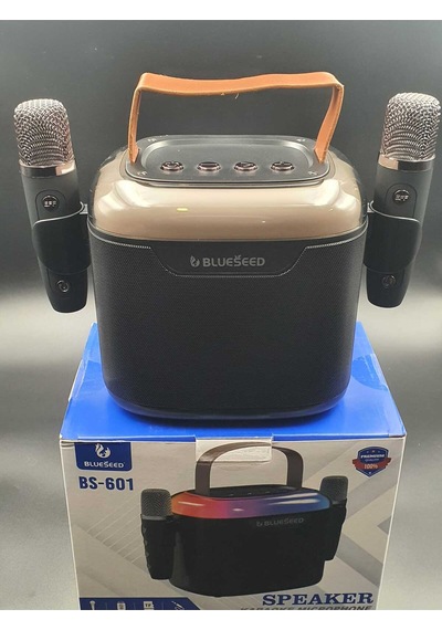 Bs-601 Bluetooth Wıreless Speaker & Karaoke Mıcrophones 13w - Siyah