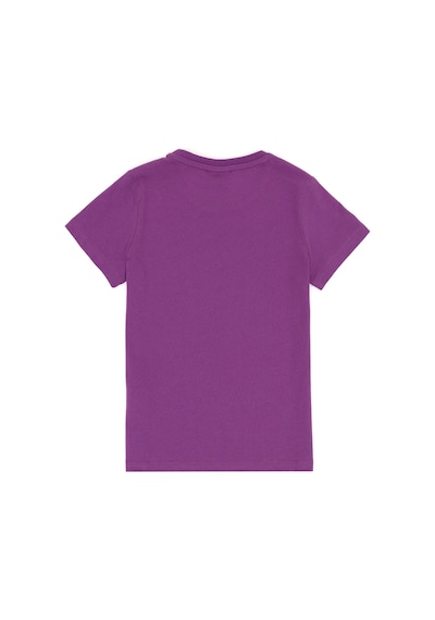U.S. Polo Assn. Erkek Çocuk Menekşe Bisiklet Yaka Tişört 50307321-VR037