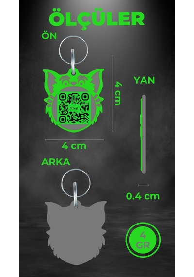 Petjoo 2.Nyan Cat Gri-Yeşil Qr'lı Kedi Künyesi
