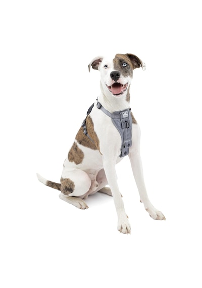 Tr Köpek Koşum Takımı Pet Walking Koşum Takımı No Pull Koşum Ön Klips Fonksiyonu Antrenman İçin Araç Em Genel
