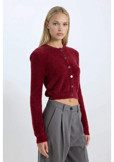 DeFacto Regular Fit Bisiklet Yaka Düğmeli Triko Bordo Hırka E2428AX24WNBR248 Bordo