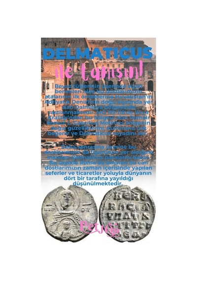 Petjoo 28.Delmaticus Pembe-Mavi Qr'lı Köpek Künyesi