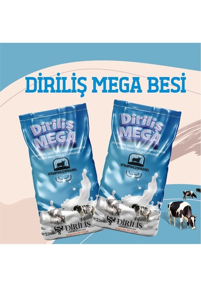 Diriliş Megabesi 25 Kg Yem Katkı