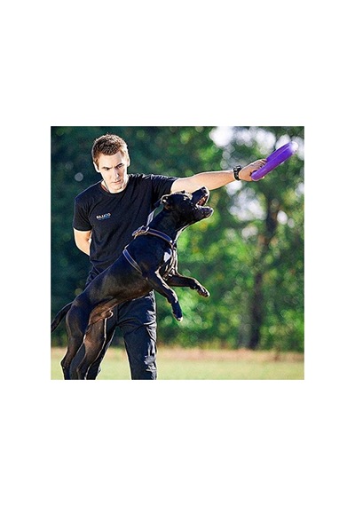 Köpek Eğitim Halkası - 2 Adet Set