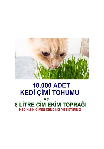 Kedi Çimi Tohumu Ve Çim Ekim Toprağı N112805