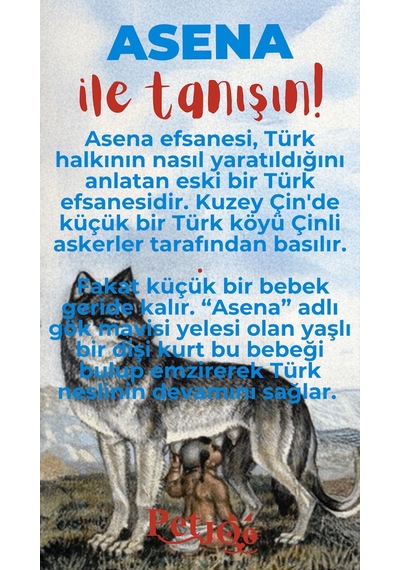 Petjoo 25.Asena Kırmızı-Mavi Qr'lı Köpek Künyesi