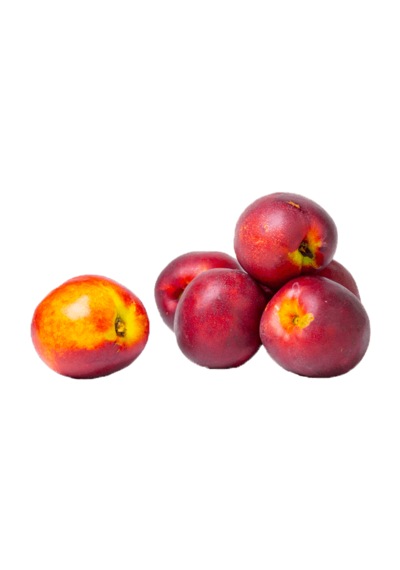 Nektarin Şeftali Fidanı 80-100 Cm
