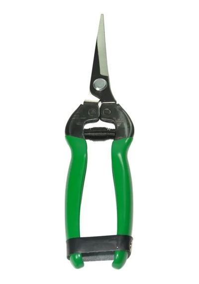 429e5 - Düz Bıçak Narenciyemakası 184 Mm Çok Renkli