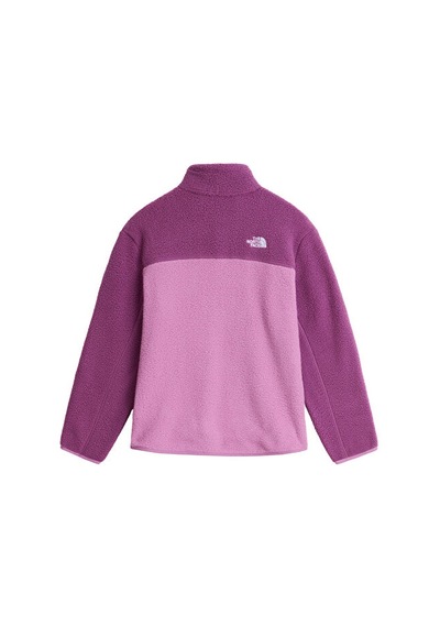 The North Face Teen Yumıorı 1/4 Zıp Jacket Çocuk Outdoor Çeyrek Fermuarlı Polar Üst Nf0a8j61k221 Mor