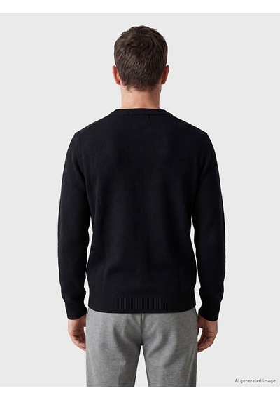Lcwaıkıkı Classic Siyah Regular Fit V Yaka Erkek Triko Hırka