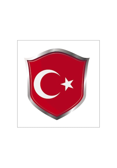 Türk Bayrağı Ay Yıldız Sticker 2 Adet 13 Cm