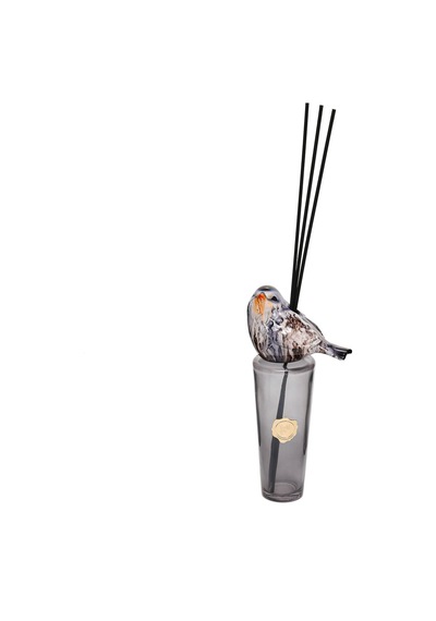 Kendi Kokunu Seç-bird Collection Siyah Slim Cam Çubuklu Difüzör Esanssız Karışık