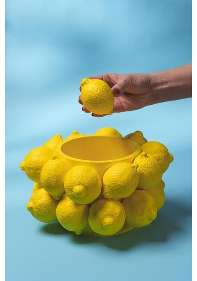 Limon Yatay Silikon Mum Kalıbı Diğer