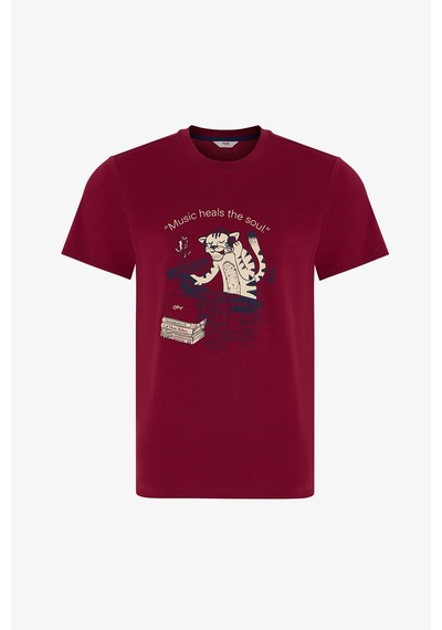 Penti Erkek Retro Groove Çizgili Pantolon Kısa Kollu Pijama Takımı Çok Renkli