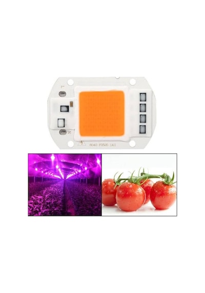 50w Bitki Ledi Yetiştirme Ampul Grow Light Led Projektör Çipi