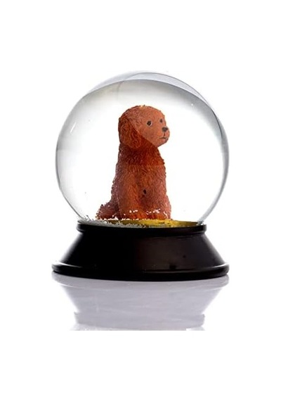 Cam Ve Reçine Altın Patiler Köpek Toy Poodle Tarçın Kar Küresi Hediye