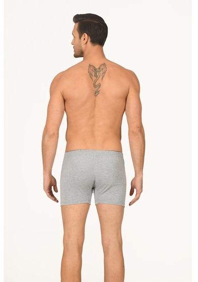 NBB Erkek Gri Boxer