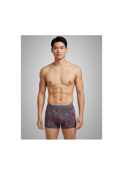 Harry Jons Erkek 6'lı Desenli Renkli Pamuklu Premium Paket Boxer Karışık Karışık