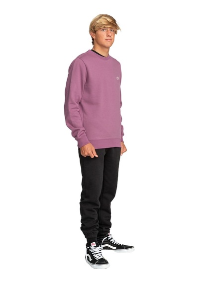 Billabong Arch Erkek Sweatshirt Mor Çok Renkli