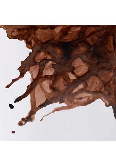 Winsor & Newton Drawing Ink Çizim Mürekkebi 14ml Peat Brown 469