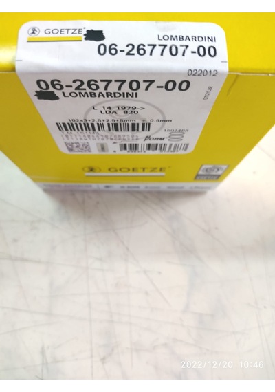 Antor/Lombardini 4ld820 17hp Segman Takımı Komple 0,50 Nüral Goetze