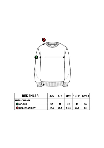 Toontoy Kids Toontoy Erkek Çocuk 58 Baskılı Sweatshirt Antrasit Melanj