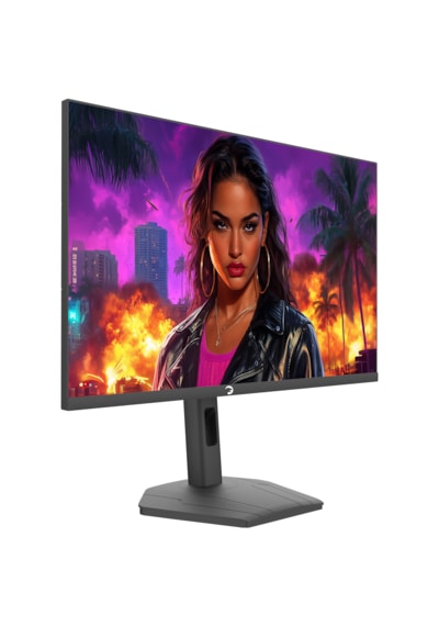 Gamepower Lunis L40 27'' 200hz 0.5ms Va Fhd Rgb Pivot Gaming Monitör Ölü Piksel