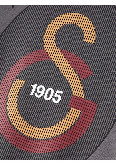 Gsstore Galatasaray Erkek T-shirt E261077 Koyu Gri
