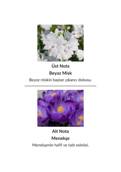 Alescia St-39 Kadın Parfüm EDP 50 ML