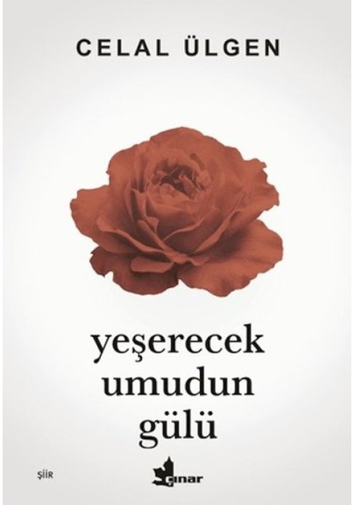 Yeşerecek Umudun Gülü - Aıaı-876253