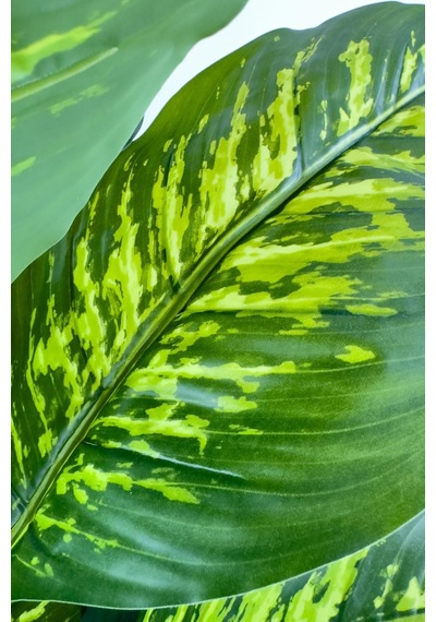 Biçiçek Yapay Monstera Ve Di̇fenbahya Ağacı Bohem Saksıda