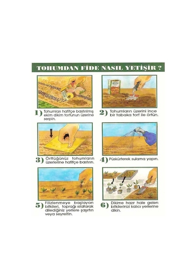 Kadife Çiçeği Karışık Renkli Tohumu