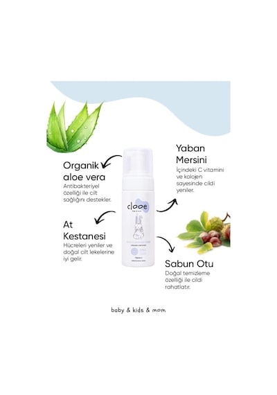 Clooe Organik Yetişkin & Çocuk Aloe Vera At Kestanesi Meyan Kökü Yüz Temizleme Köpüğü 150 ML