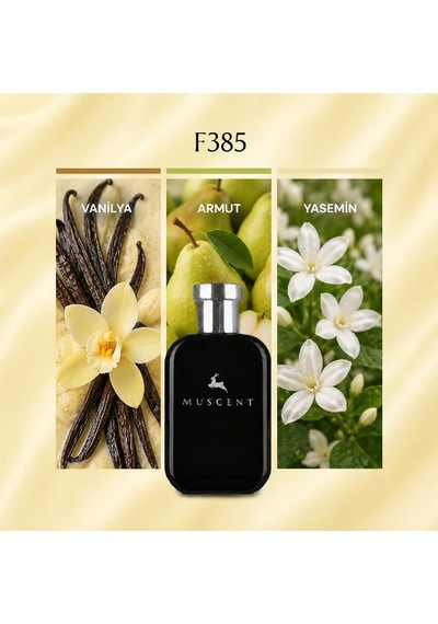 F385 Paradoks Int 50 Ml