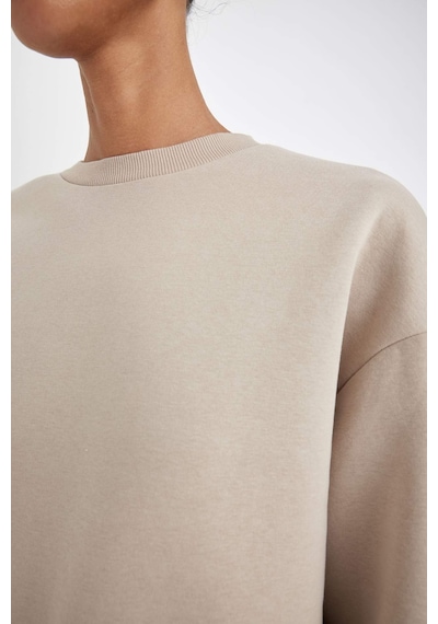 Defacto Boxy Fit Bisiklet Yaka Kalın Basic Düz Sweatshirt B8568AX24WNBG187 Bej